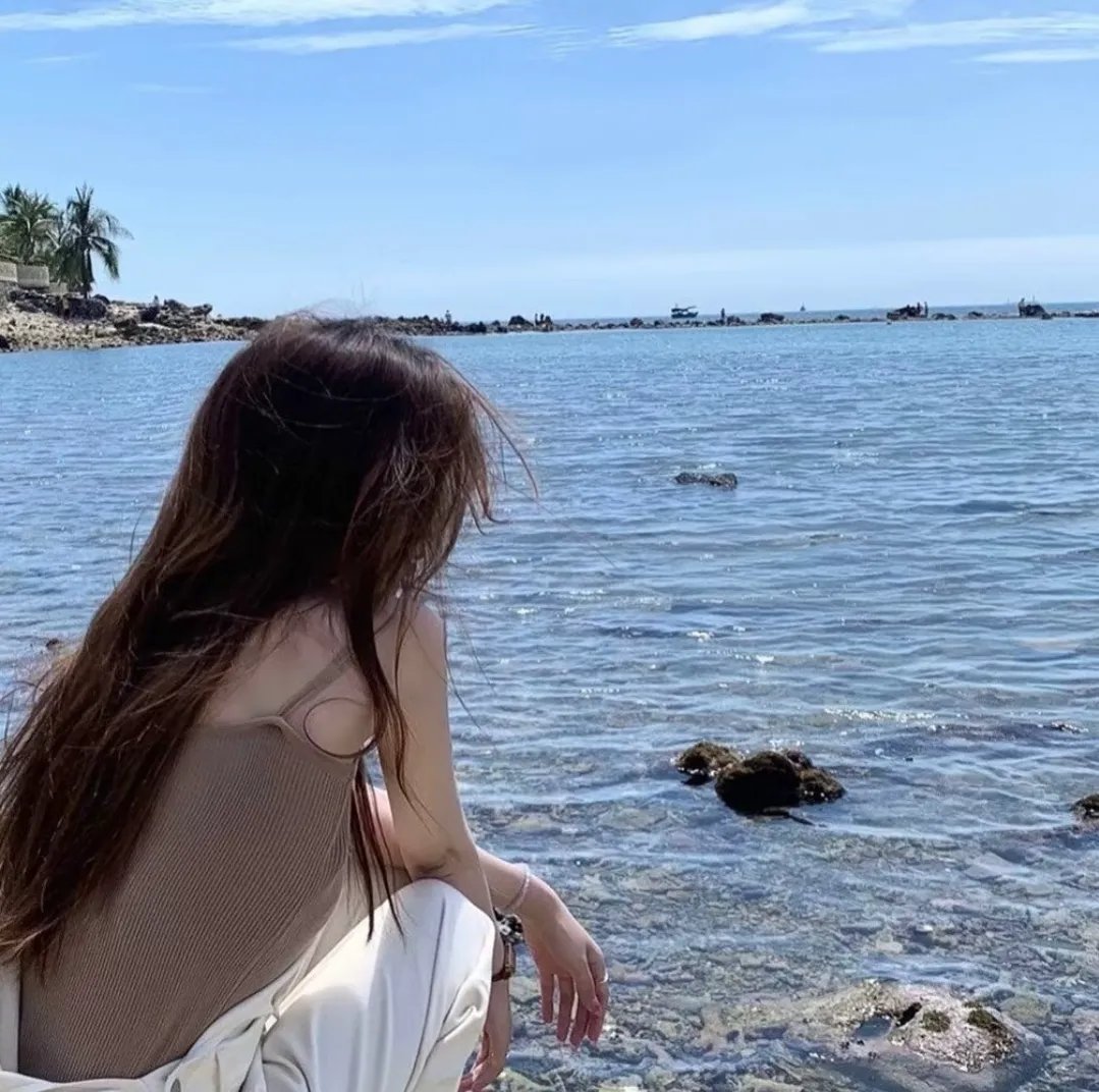 蝴蝶公墓 海报